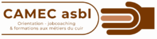 Logo CAMEC 2025